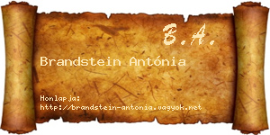 Brandstein Antónia névjegykártya